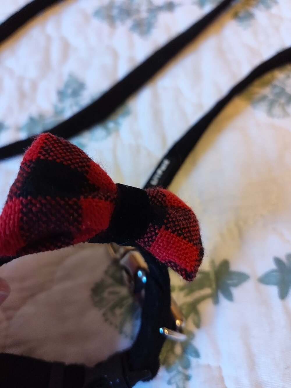 Li'l Pals® Microfiber Leash and Collar with Bow